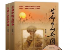 生命中的兵团