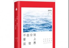 不由分说爱上这世界