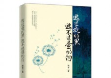 逃过夜的黑，逃不过昼的白