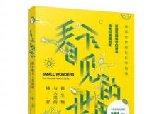 看不见的世界