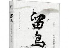 留鸟-北方乡村的生命纪实