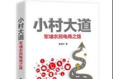 小村大道:军埔农民电商之路