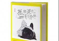 孤独深处，有你为伴