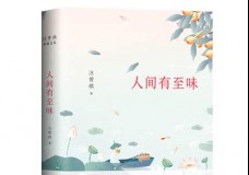 人间有至味