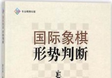 国际象棋形势判断