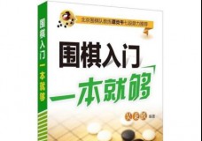 围棋入门一本就够